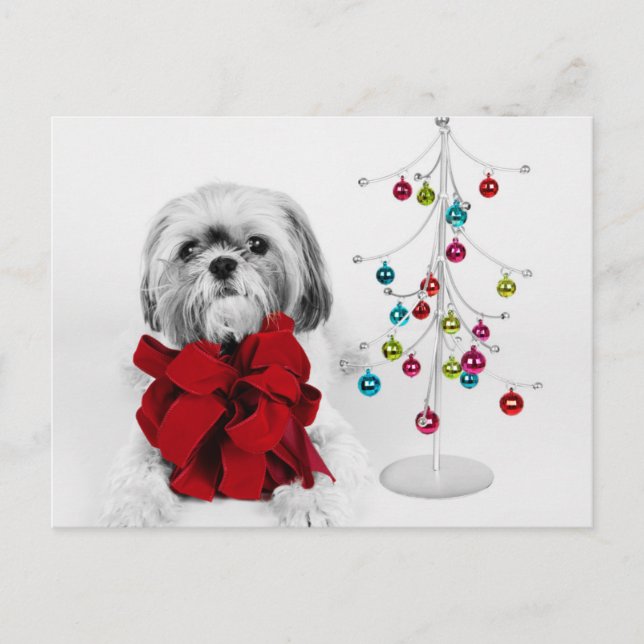 Shih Tzu dog with red bow by toy Christmas tree Holiday Postcard (Front)