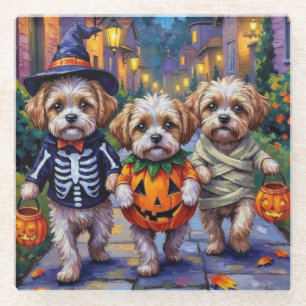 Shih Tzu Dogs Trick-or-Treating Halloween Costumes Glass Coaster