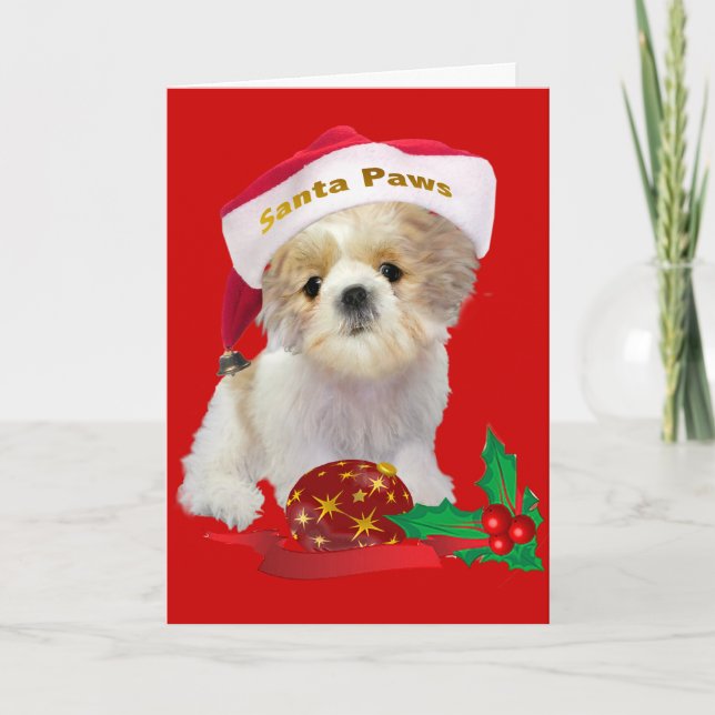 Shih Tzu doll xmasChristmas Cards (Front)