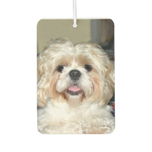 Shih Tzu face Car Air Freshener