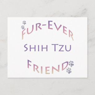 Shih Tzu Furever Friend Postcard