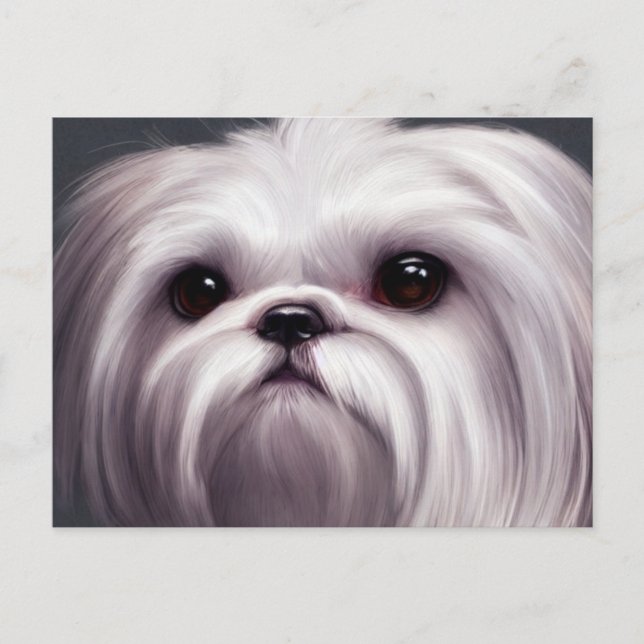 Shih Tzu Greetings Postcard (Front)