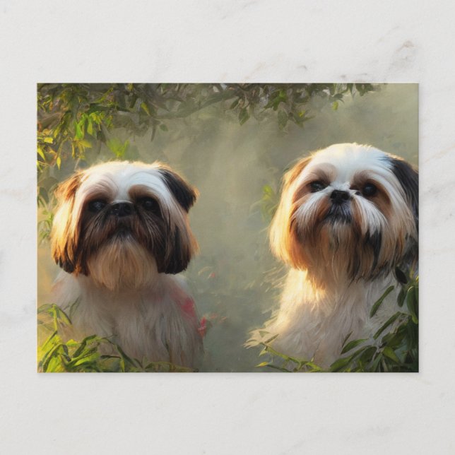 Shih Tzu Greetings Postcard (Front)