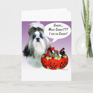 Shih Tzu (groomed) Halloween Candy Card