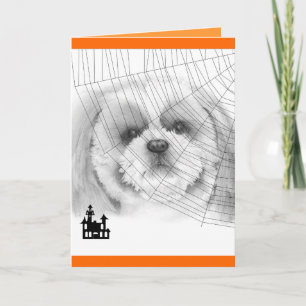 Shih Tzu Halloween Card