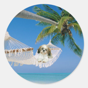Shih Tzu Hanging Out Sticker