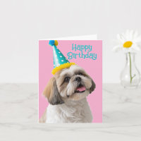 Shih tzu Happy Birthday 