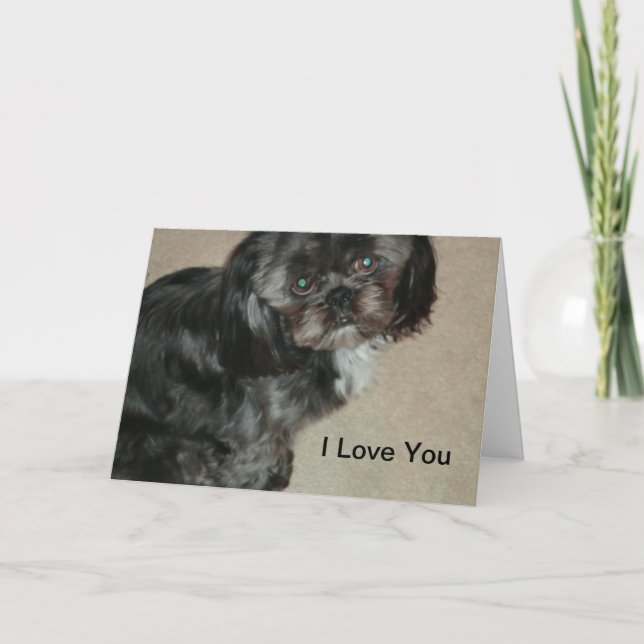 Shih Tzu I Love You Cards (Front)