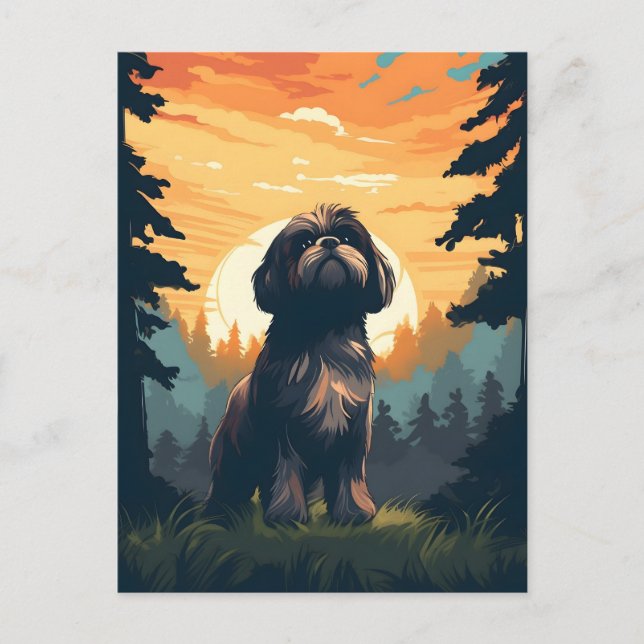 Shih Tzu in forest during sunset Postcard (Front)