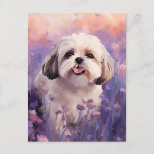 Shih Tzu in Lavender field Postcard