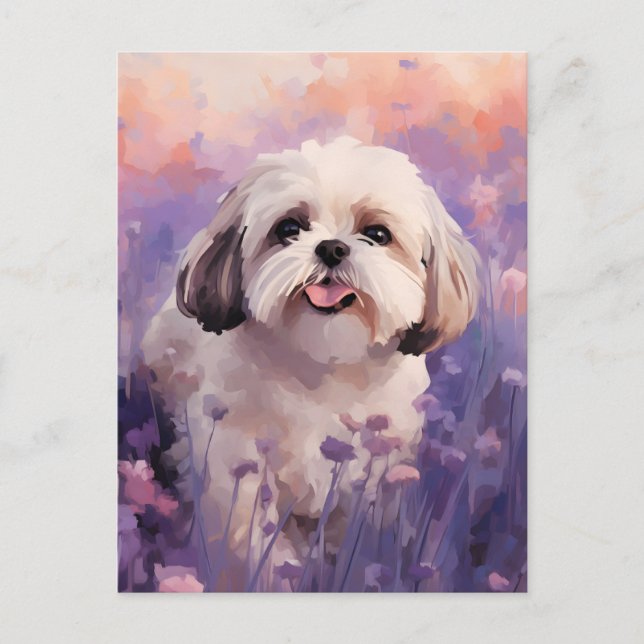 Shih Tzu in Lavender field Postcard (Front)