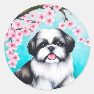 Shih Tzu in Oriental Cherry Blossom Classic Round Sticker