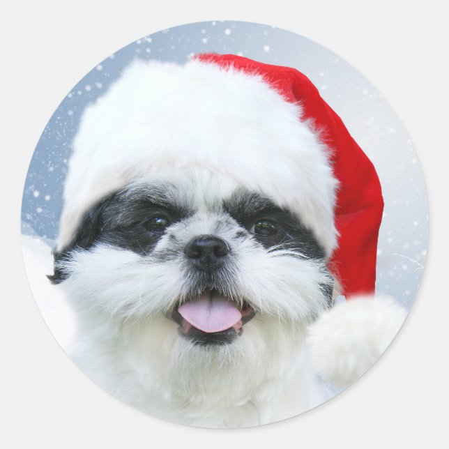 Shih Tzu in Santa hat Classic Round Sticker (Front)