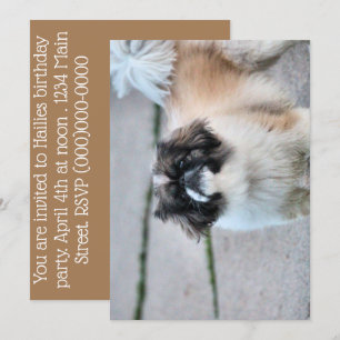 Shih Tzu Invitation
