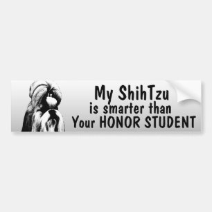 Shih Tzu is smarter than honour student - funny Bumper Sticker