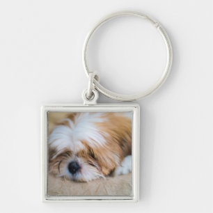 Shih Tzu Key Ring
