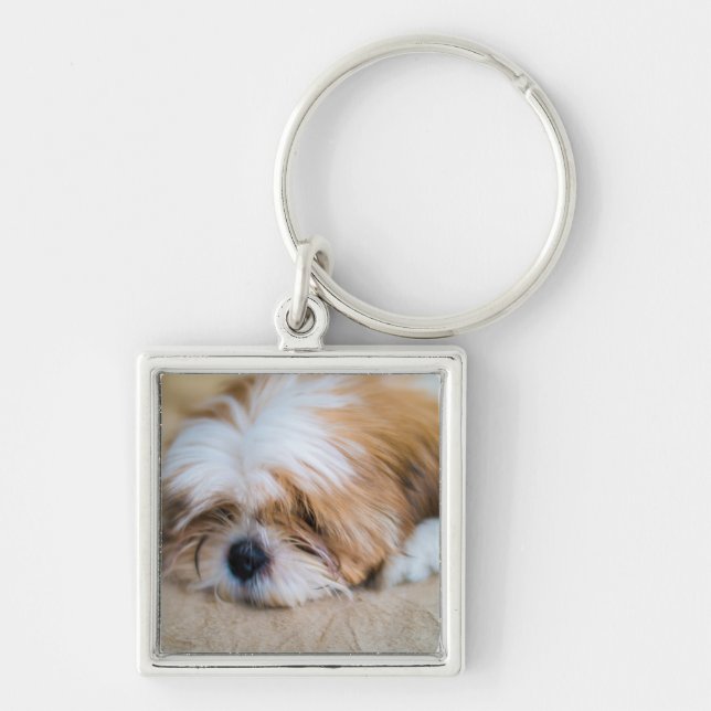 Shih Tzu Key Ring (Front)