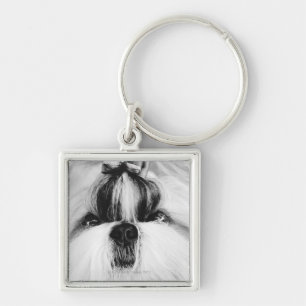 Shih Tzu Key Ring