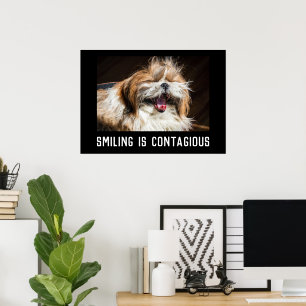 Shih tzu laughing smile customize photo text  poster