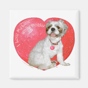 Shih Tzu / Lhasa Apso Valentine's Day Magnet