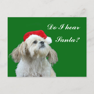 Shih Tzu listens for Santa Holiday Postcard