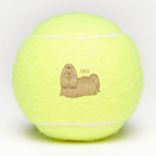 Shih tzu long hair dog cartoon illustration tennis balls