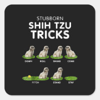 Shih Tzu Lover | Funny Shih Tzu Trick Dog Love