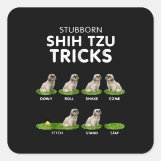 Shih Tzu Lover | Funny Shih Tzu Trick Dog Love Square Sticker