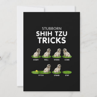 Shih Tzu Lover | Funny Shih Tzu Trick Dog Love Thank You Card