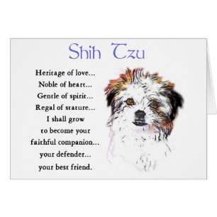 Shih Tzu Lovers Gifts