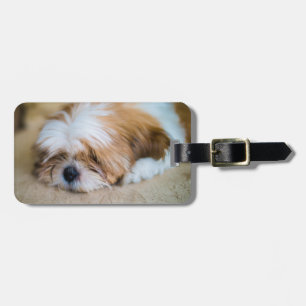 Shih Tzu Luggage Tag