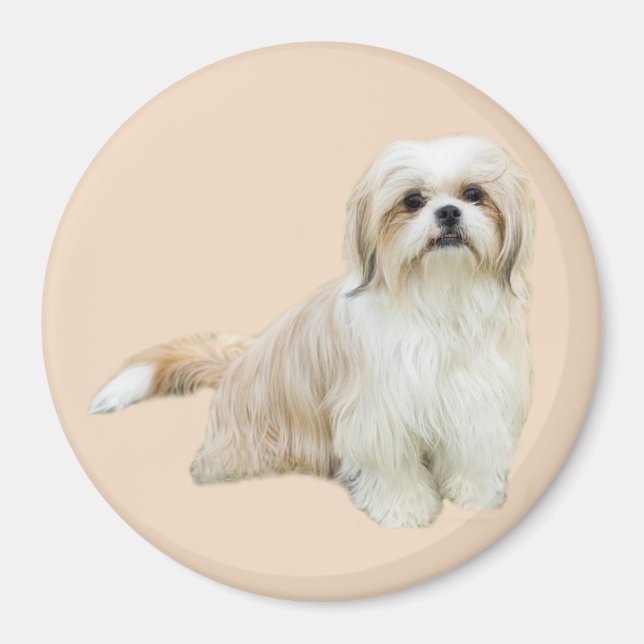 Shih Tzu Magnet (Front)