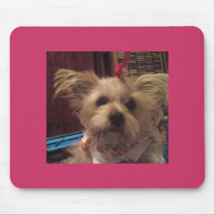 Shih Tzu Mouse Mat