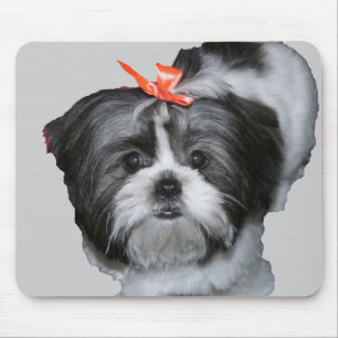 shih tzu mouse mat