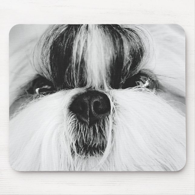 Shih Tzu Mouse Mat (Front)