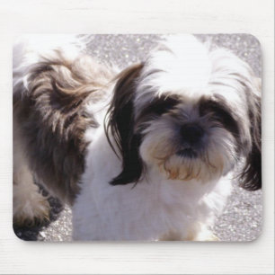 Shih-Tzu Mouse Mat