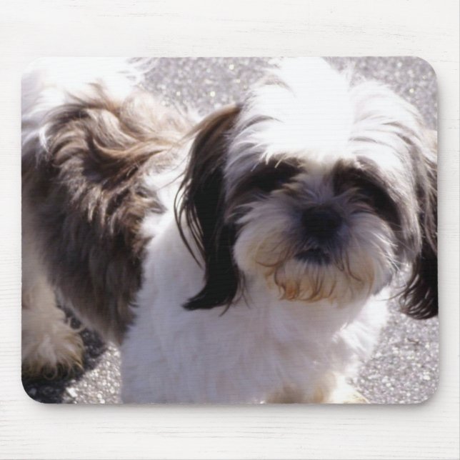 Shih-Tzu Mouse Mat (Front)