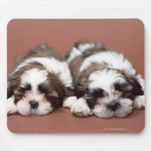 Shih Tzu Mouse Mat