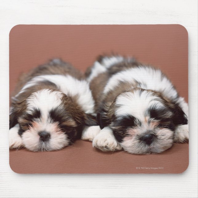 Shih Tzu Mouse Mat (Front)