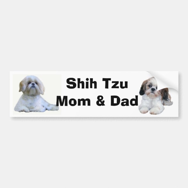 Shih Tzu Mum & Dad Bumper Sticker (Front)