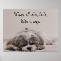 Shih Tzu Nap