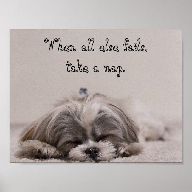 Shih Tzu Nap Poster (Front)