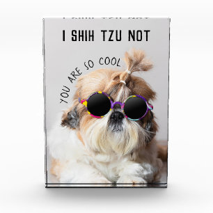 Shih Tzu Not fun cute dog lovers Custom Photo text Block