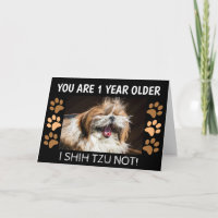 Shih tzu not funny birthday 1 year older Greeting