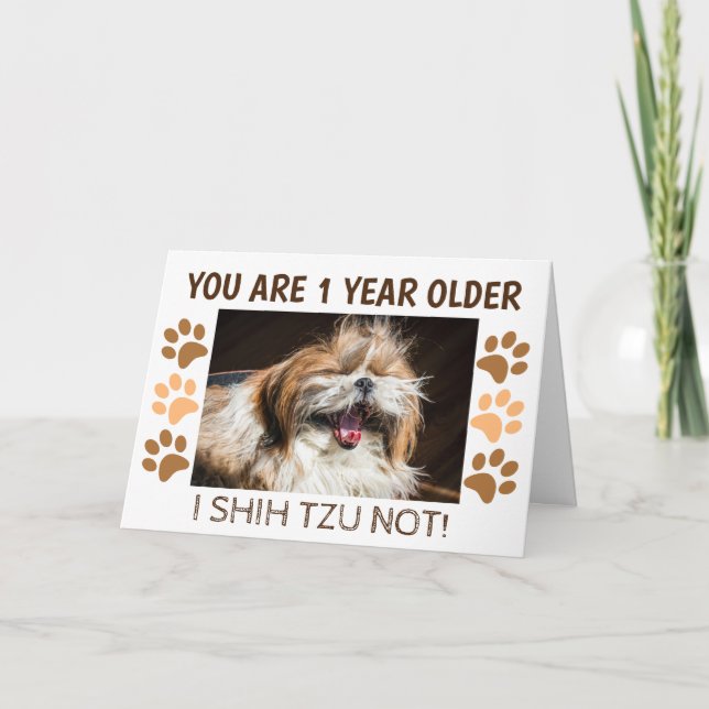 Shih tzu not funny birthday 1 year older Greeting Card (Front)