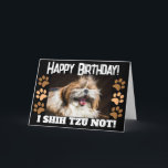 Shih tzu not laughing fun Happy birthday Greeting  Card<br><div class="desc">Cute,  fun,  silly female shih tzu,  brown and white dog with big character. One curious lady cuddly lap dog that will brighten your day.  Inside message: Have a pawsitively amazing birthday!"</div>