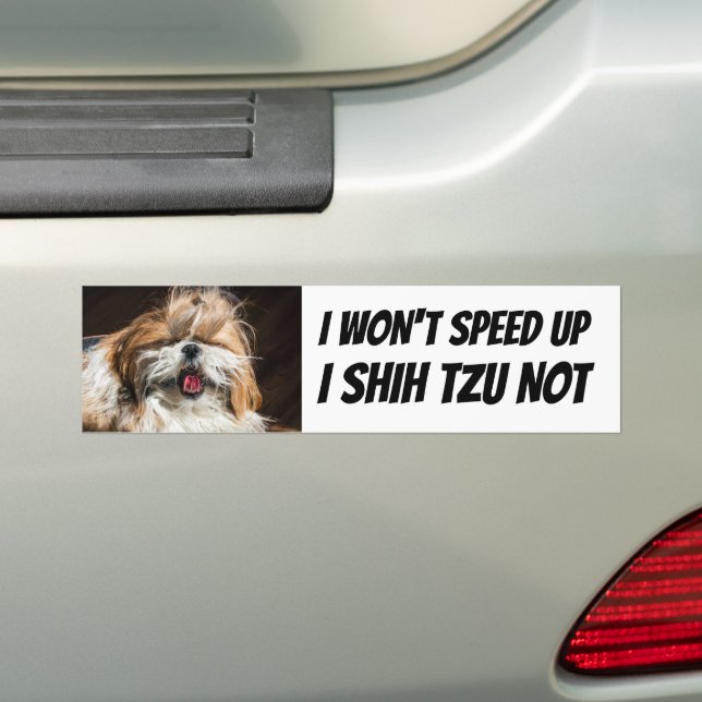 Shih tzu not Won't speed up funny cute dog custom  Bumper Sticker (On Car)