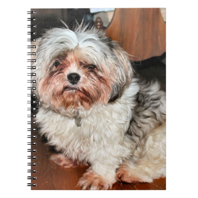 Shih Tzu Notebook (Front)