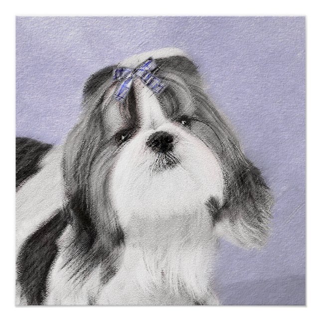 Shih Tzu Painting - Cute Original Dog Art Poster (Front)