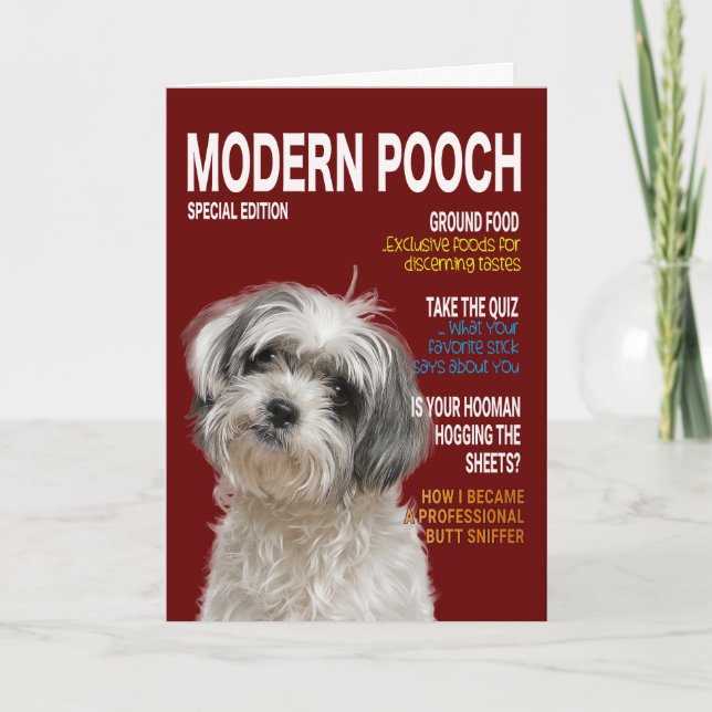 Shih Tzu Parody Magazine Cover Card (Front)
